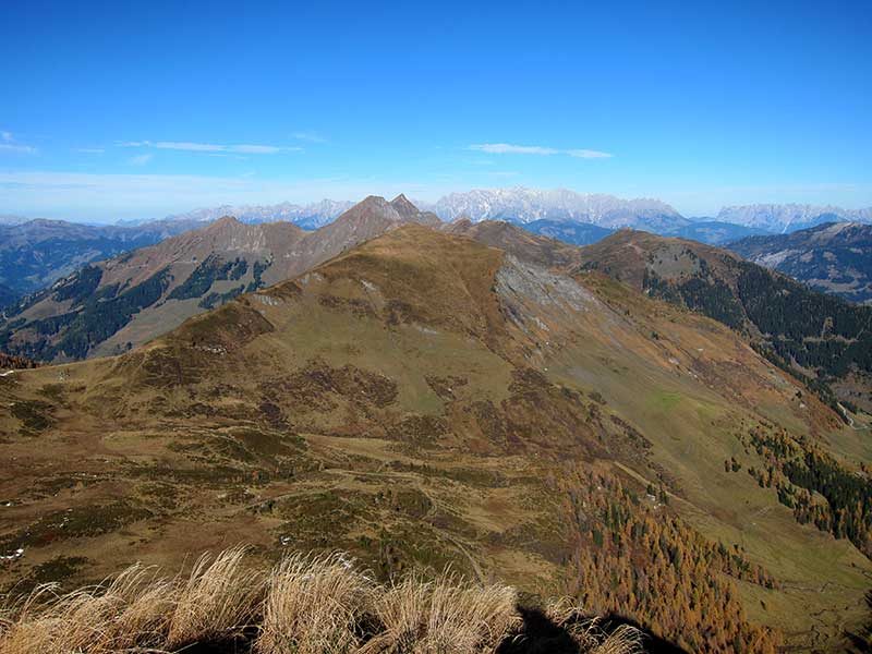 Schwarzwand